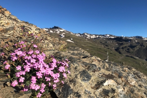 Desde Granada: Parque Nacional de Sierra Nevada 5 horas de caminataGranada: Experiencia de Senderismo en Alta Sierra Nevada
