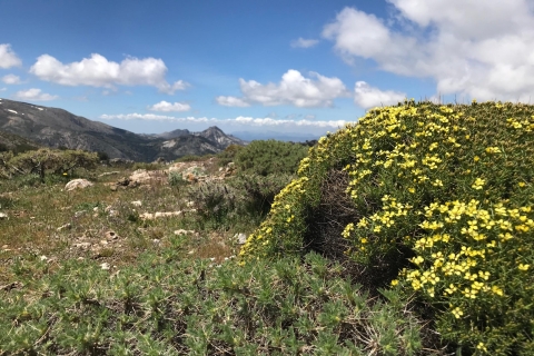 Z Granady: Park Narodowy Sierra Nevada 5 godzin wędrówkiGrenada: piesze wędrówki w High Sierra Nevada
