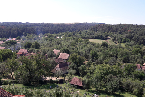 Visite de l'Unesco: Sighisoara, Viscri et Biertan de Brasov