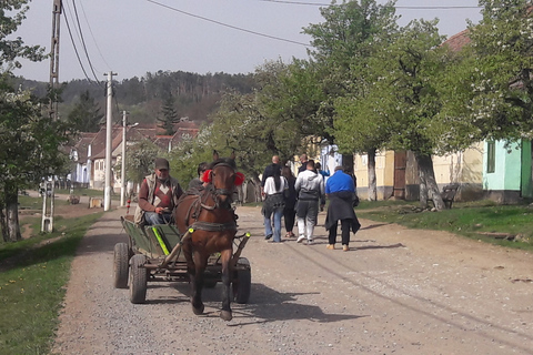 Unesco Tour: Sighisoara, Viscri, and Biertan From Brasov