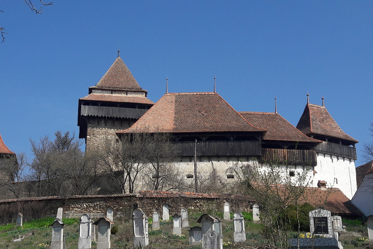 Unesco-turné: Sighisoara, Viscri och Rupea från BrasovUnesco-tur: Sighisoara, Viscri och Biertan från Brasov