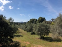 Depuis Arles, Parc Régional des Alpilles Provence 4x4 Safari - Hizvo