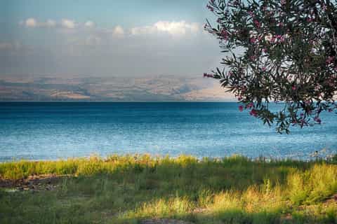 tel aviv golan heights day trip with guide