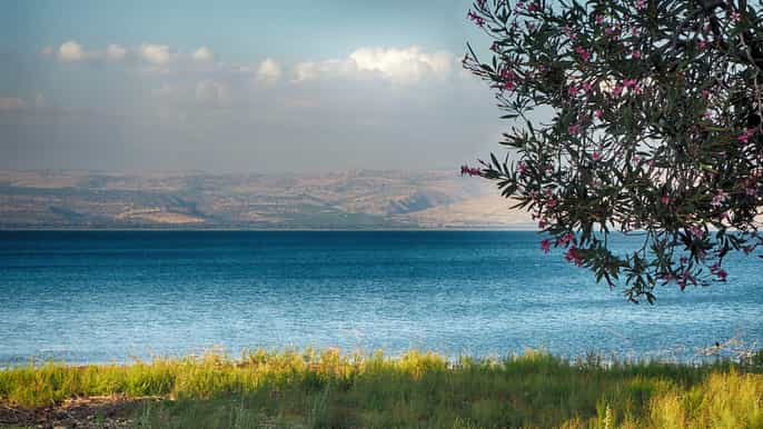 tel aviv golan heights day trip com guia