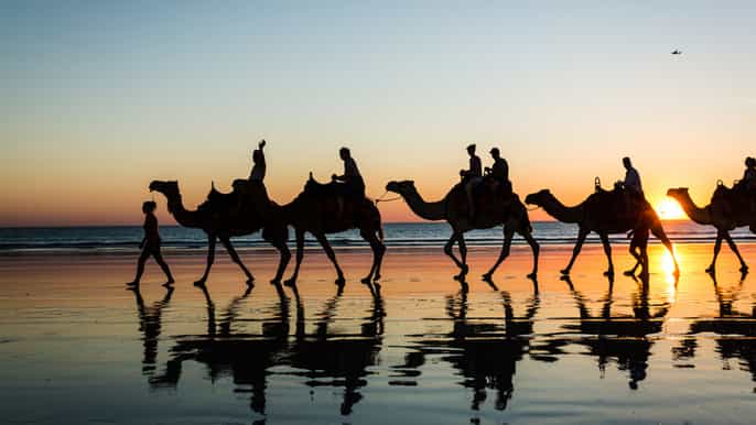 sunset camel ride tour by the beach