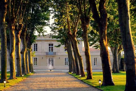 margaux 1.5hour guided winery tour vertical tasting