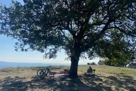 Esperienza di Tuscolo in ebike