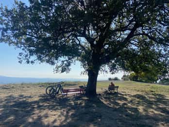 Esperienza di Tuscolo in ebike