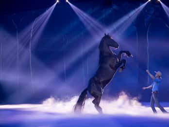Gold Coast: Australian Outback Spectacular Dinner & Show