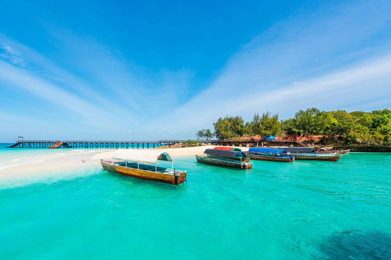 Zanzibar: Safari Blue Sea Trip całodniowa wycieczka z nurkowaniem i lunchem