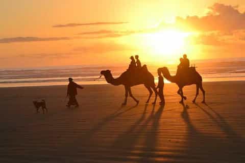 Agadir: 2-Hour Camel Ride on Banana Beach at Sunset