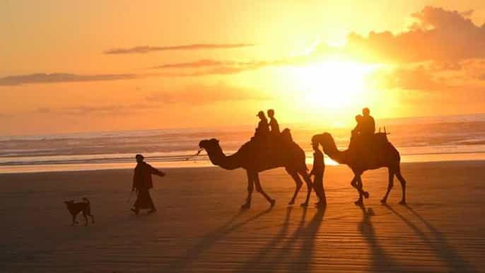agadir giro in cammello di 2 ore sulla banana beach al tramonto