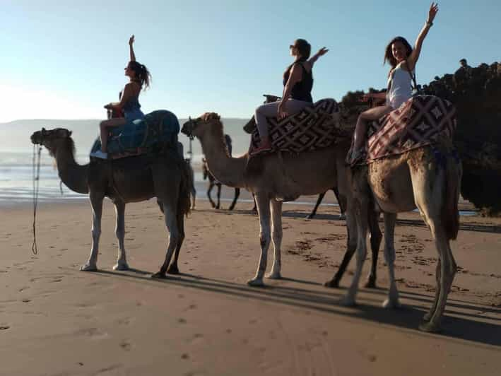 Agadir 2 Hour Camel Ride On Banana Beach At Sunset Getyourguide