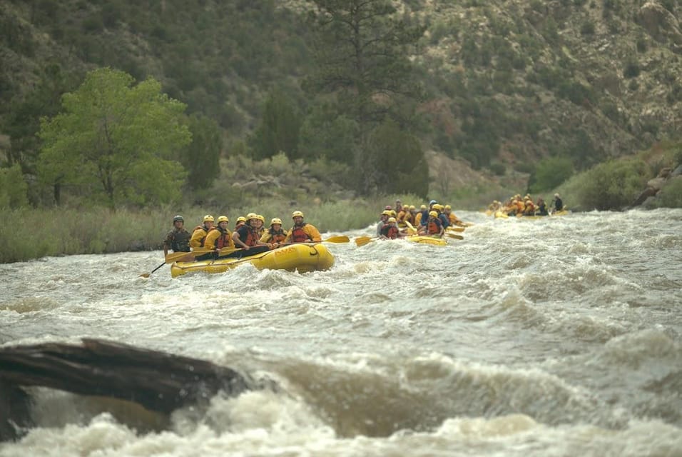 Cañon City, Bighorn Sheep Canyon Guided Rafting Adventure - Housity
