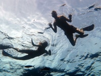 Koh Chang, arrecifes de día completo o sitios de naufragios Viaje de snorkel - Housity