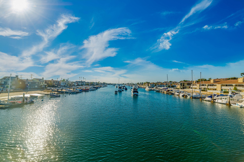 From Newport Beach: Champagne and Cider Buffet Brunch Cruise Los Angeles: Champagne Brunch Cruise from Newport Beach