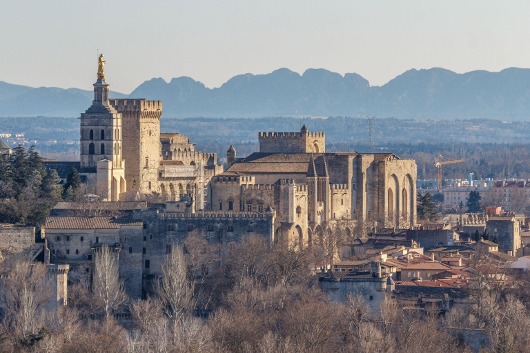 Avignon - Cité des Papes et dégustation de vins - Visite privée d'une journéeVisite privée d'une journée de la Cité des Papes et dégustation de vins