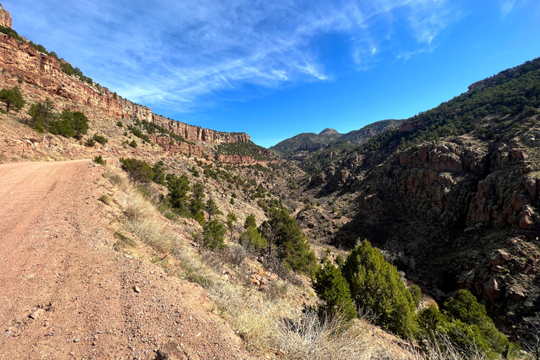 Colorado Springs: Cripple Creek Backcountry Jeep Tour