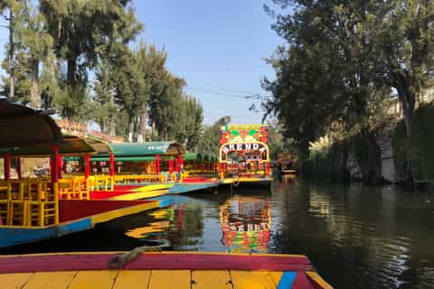 ciudad de méxico tour por xochimilco y ciudad universitaria