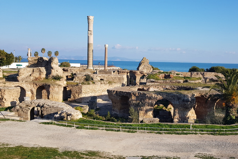 Carthage: visite guidée à vélo du site archéologique