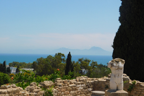 Carthage: visite guidée à vélo du site archéologique