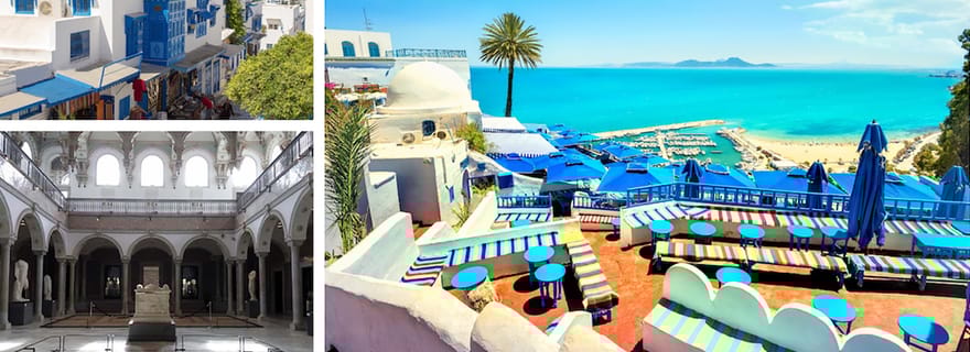 Visite de Carthage, du musée du Bardo, de Sidi Bou Saïd et de la médina de Tunis