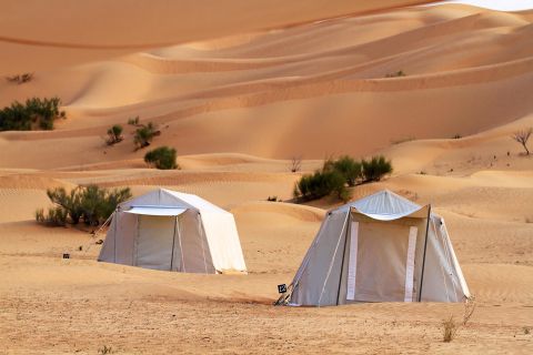 Depuis Douz : safari et nuit dans le Sahara tunisien
