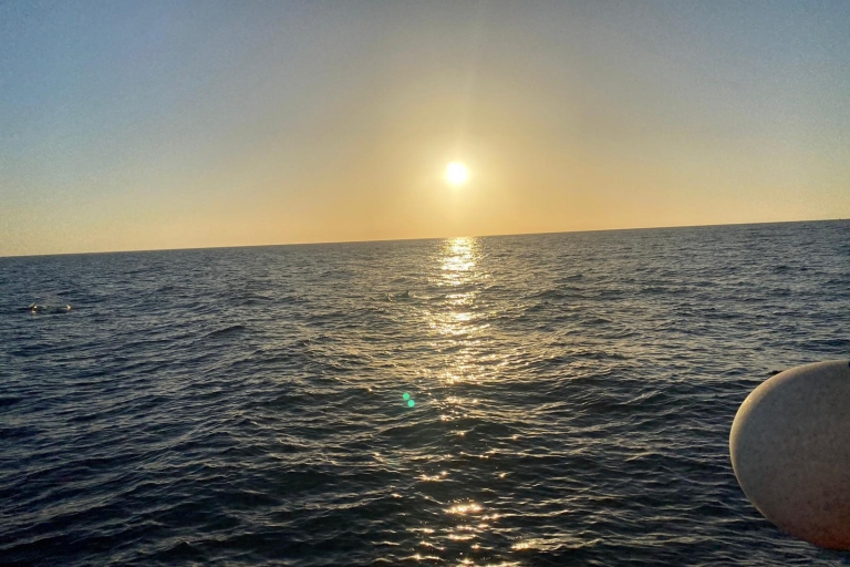 Los Cristianos: Sunset tour ecoyacht whales watching Los cristianos: sunset tour ecoyacht whales watching