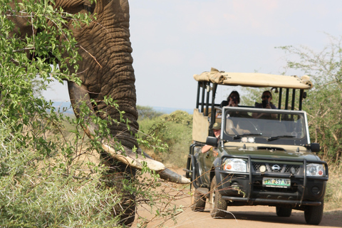 Kruger National Park: Private Chalet Safari 3-Day Safari