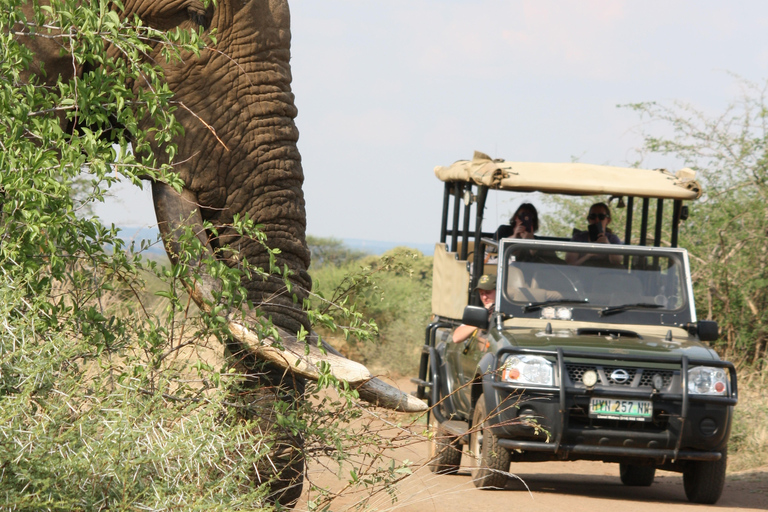 Kruger National Park: Private Chalet Safari 3-Day Safari