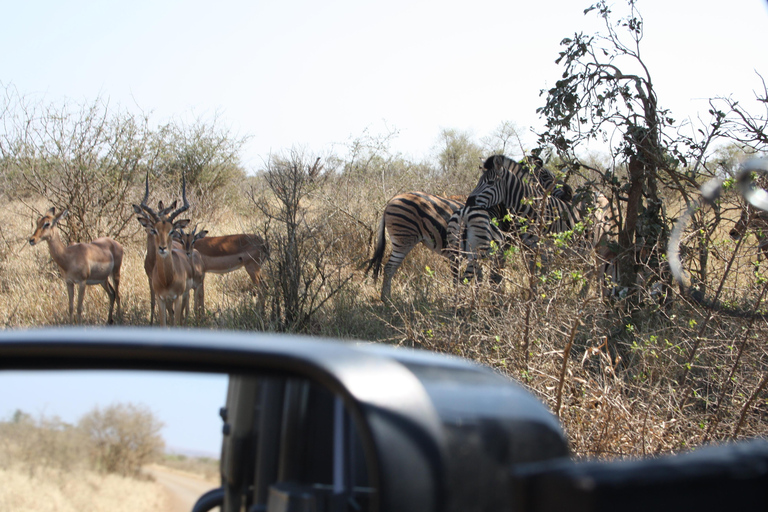 Kruger National Park: Private Chalet Safari 3-Day Safari