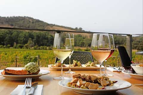 Full-Day Yarra Valley Wine Experience with Lunch