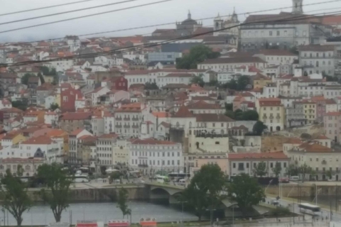 Oporto: Visita de medio día a la ciudad con cata de vinosGrupo reducido con Punto de encuentro