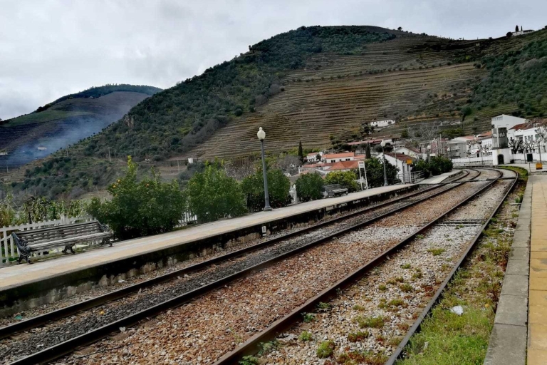 Private Tour: Douro Valley Wine and Food van Porto