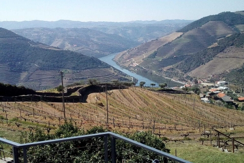 Tour privado: Valle del Duero Vino y la Alimentación de Oporto