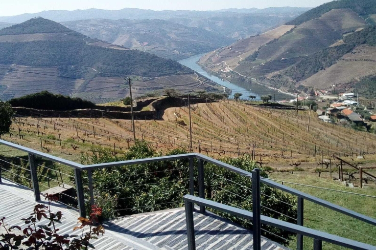 Tour privado: Valle del Duero Vino y la Alimentación de Oporto