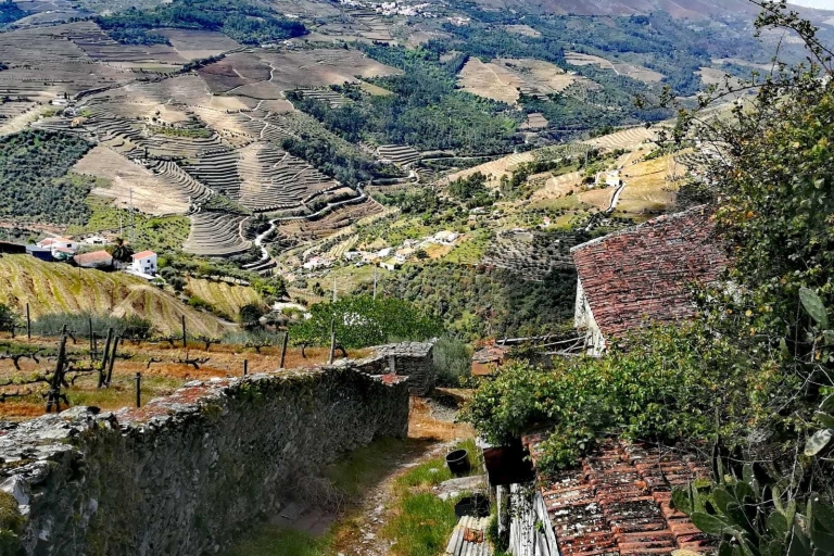 Visite privée: Douro Valley Wine and Food de Porto
