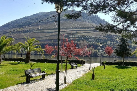 Private Tour: Douro Valley Wine and Food from Porto