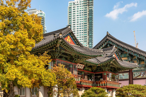 Séoul : Temple de Bongeunsa et visite nocturne gourmande à Gangnam