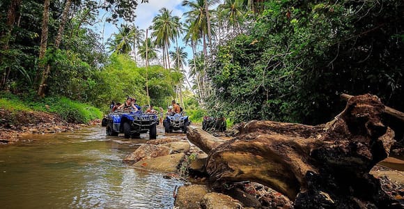 An ATV following a muddy track through dense tropical vegetation