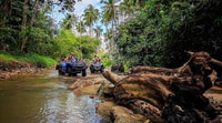 Koh Samui, ATV Quad Bike Safari Tour - Housity