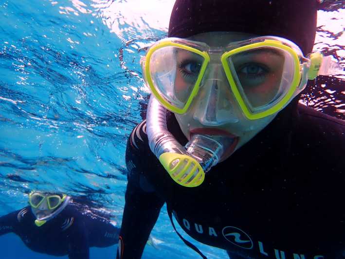 Majorque : plongée avec tuba dans une réserve naturelle