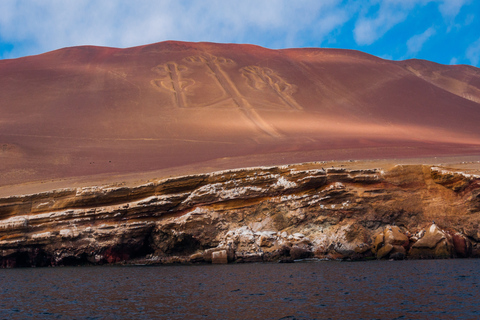 Z Paracas: malownicza wycieczka łodzią na wyspę Ballestas