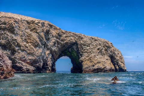 Paracas: tour panorámico en barco a las islas Ballestas