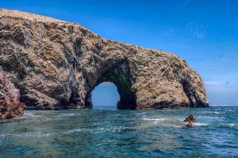 Paracas: tour panorámico en barco a las islas Ballestas