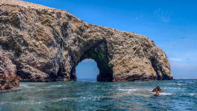 from paracas scenic boat tour to ballestas island
