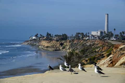 Carlsbad Village: 3-Hour Local Food Tour