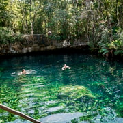 From Tulum: Four-Cenote Adventure | GetYourGuide