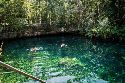 From Tulum: Four-Cenote Adventure Standard Option