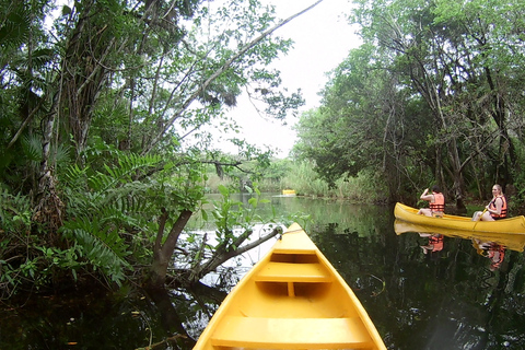 From Tulum: Four-Cenote Adventure Standard Option
